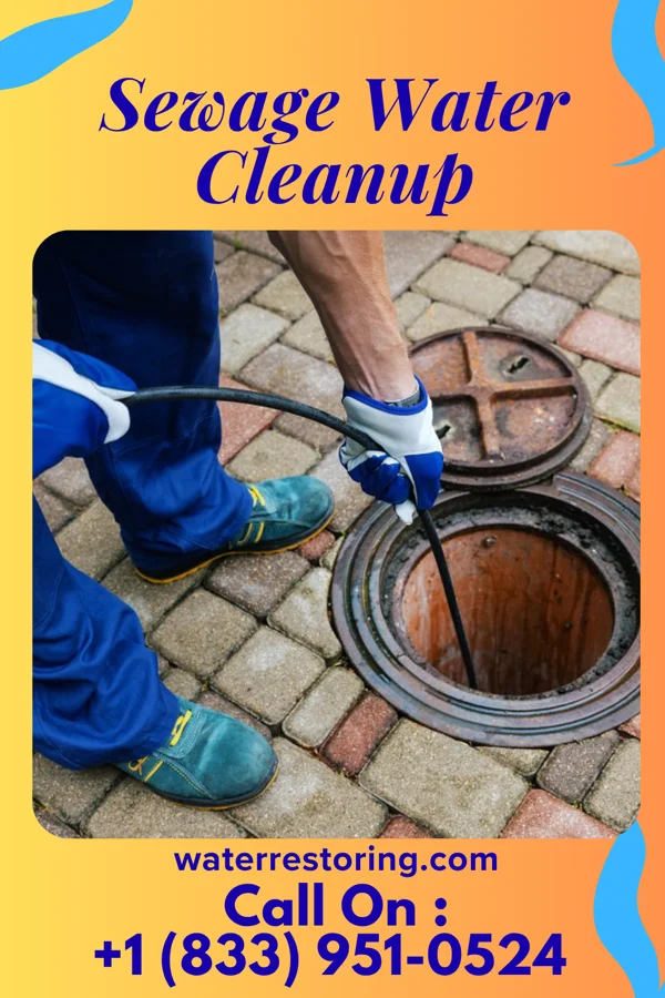 Sewage Water Cleanup in Crawford, CO